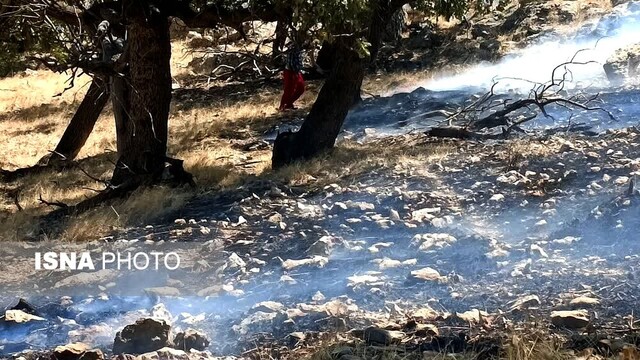 آتش جنگلهای کوه سفید شهرستان لنده مهار شد