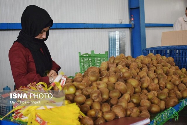 کارگاههای سورتینگ آستارا زبالههای تولیدی را در محیط زیست رها نکنند