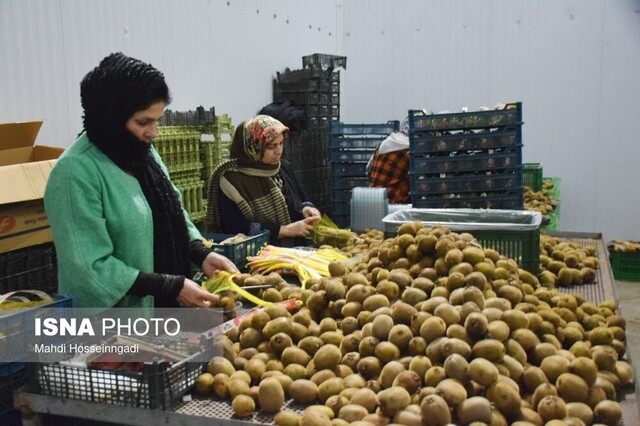 کارگاههای سورتینگ آستارا زبالههای تولیدی را در محیط زیست رها نکنند