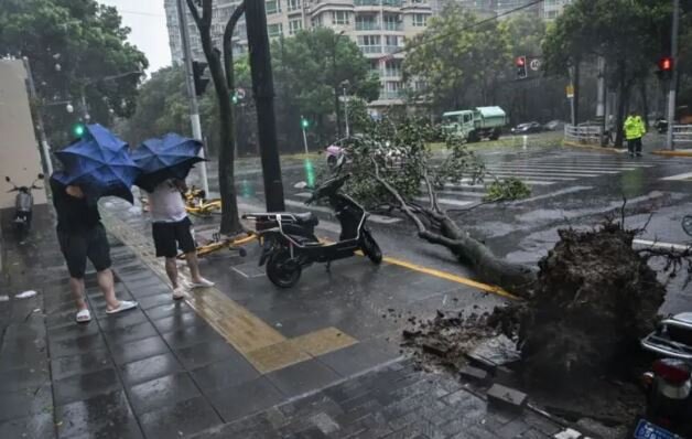 عکس: گتی ایمجز طوفان در «شانگهای»؛ هزاران نفر آواره شدند+فیلم