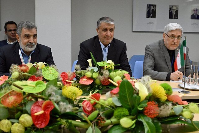 گروسی: بهزودی به تهران سفر میکنم