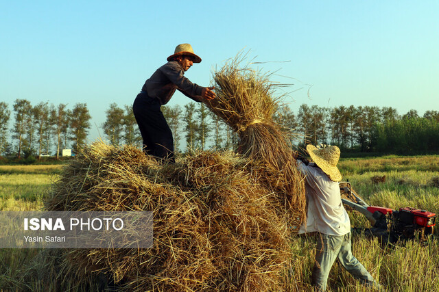 خلاصه اخبار مجلس، ۲۷شهریور؛ تذکراتی در حمایت از کشاروزان/حذف قوانین نامعتبر حوزه کار و حملونقل