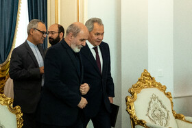 دیدار علیاکبر احمدیان با سرگئی شویگو، دبیران شورای امنیت ملی ایران و روسیه