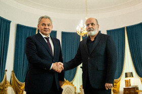 دیدار علیاکبر احمدیان با سرگئی شویگو، دبیران شورای امنیت ملی ایران و روسیه