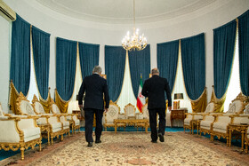 دیدار علیاکبر احمدیان با سرگئی شویگو، دبیران شورای امنیت ملی ایران و روسیه