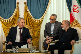 دیدار علیاکبر احمدیان با سرگئی شویگو، دبیران شورای امنیت ملی ایران و روسیه