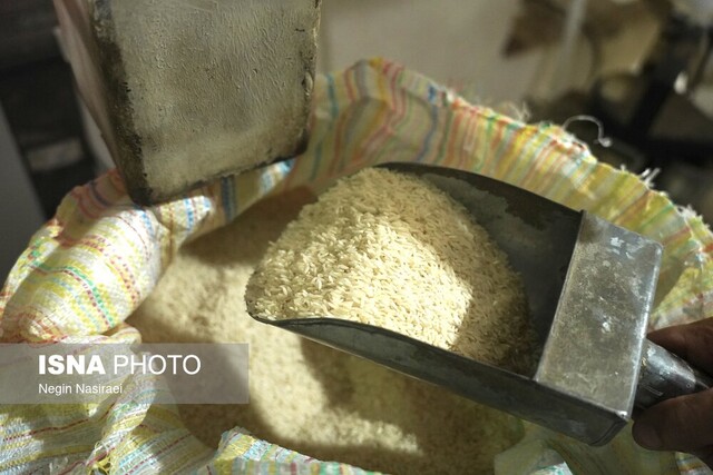 توزیع ۳۰۰ تن برنج صادراتی با قیمت مصوب در شهرستان میناب توزیع ۳۰۰ تن برنج صادراتی با قیمت مصوب در شهرستان میناب