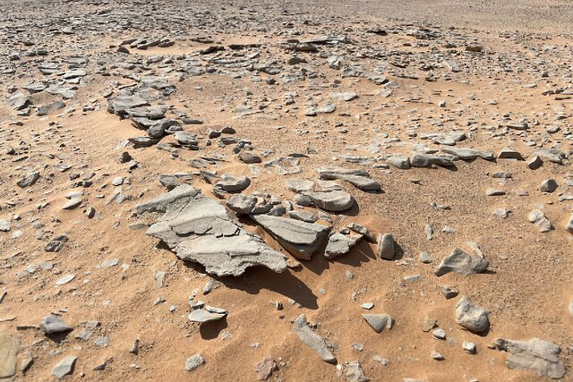 با هوش مصنوعی ماسهشناس آشنا شوید