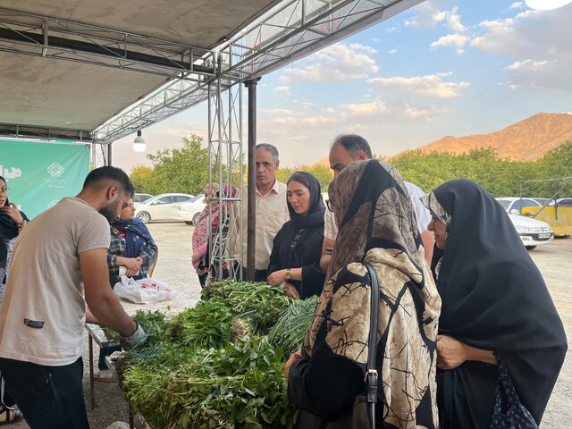 جشنواره تابستانه سبزی، غذا و سوغات در سنجان اراک آغاز شد