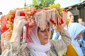 جشن انگور تاکستان - استان قزوین