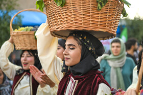 جشن انگور تاکستان - استان قزوین