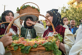 جشن انگور تاکستان - استان قزوین