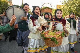 جشن انگور تاکستان - استان قزوین