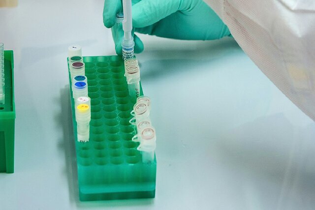 عکس تزیینی است. پیشرفت ایران در سلتراپی و ژنتراپی؛ همگام با تحولات جهانی