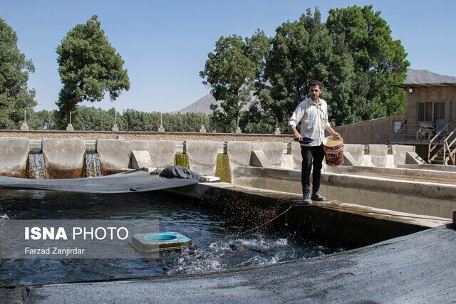 تولید ۲۳ درصد از محصولات شیلات کشور در سیستان و بلوچستان تولید ۲۳ درصد از محصولات شیلات کشور در سیستان و بلوچستان