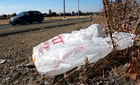 عکس: آسوشیتدپرس ممنوعیت استفاده از تمام کیسههای پلاستیکی در فروشگاههای «کالیفرنیا»