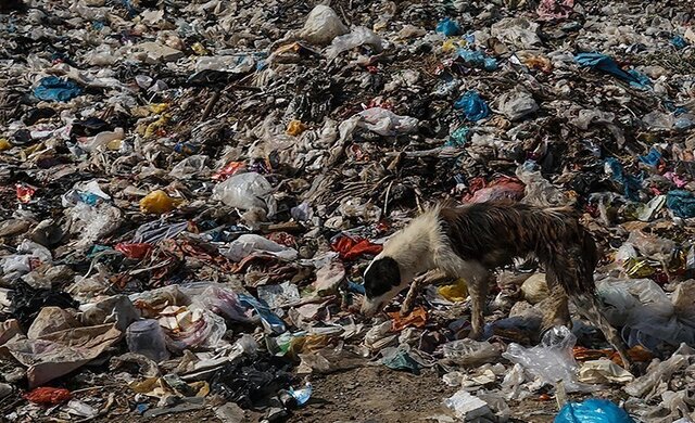 گزارش کمیسیون کشاورزی درباره وضعیت مدیریت پسماندها گزارش کمیسیون کشاورزی درباره وضعیت مدیریت پسماندها