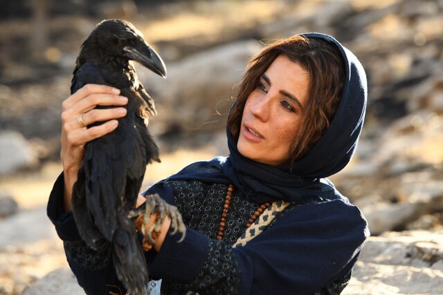 از فیلمهای جشنواره فجر چه میدانیم ؟