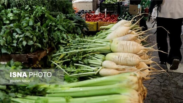 بر فراز آشیانه کاکاییها +ویدیو
