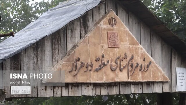 بر فراز آشیانه کاکاییها +ویدیو