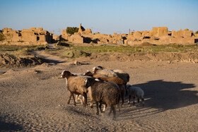 روستای نیگنان - استان خراسان جنوبی