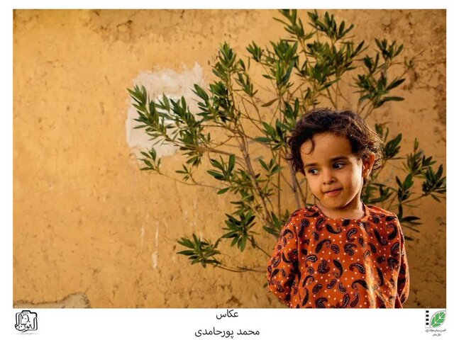 هفته فیلم و عکس در ملایر برگزار میشود