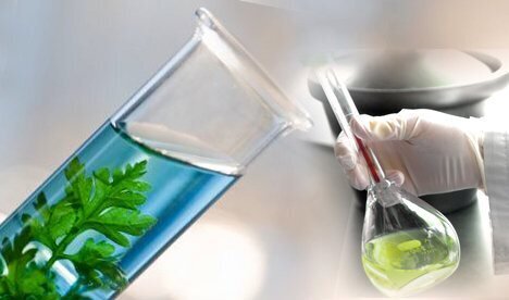 عکس تزیینی است تولید و تجاری سازی داروی خارپاشنه و هلیکوباکتر در همدان