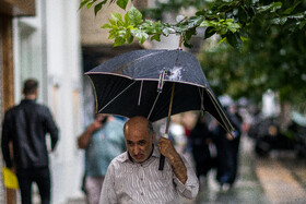 کچل‌ها؛ امیدی برای بارش باران!