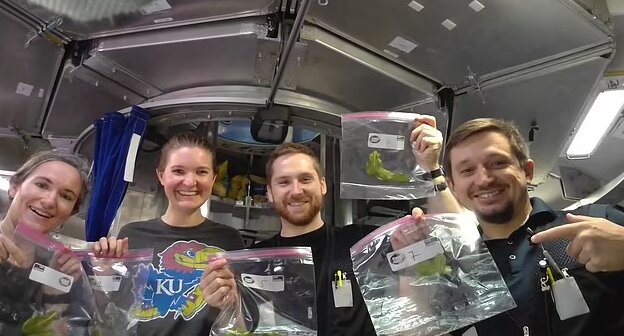 نگاهی به آنچه در زیستگاه شبیهسازیشده مریخ گذشت