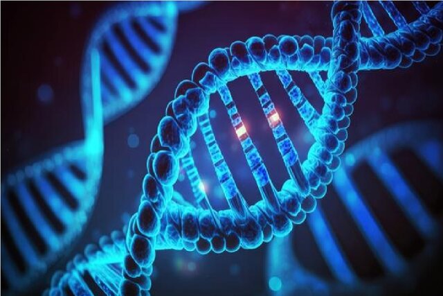 کارتهای نوآورانه برای نگهداری و جابجایی ایمن نمونههای DNA در پزشکی قانونی کارتهای نوآورانه برای نگهداری و جابجایی ایمن نمونههای DNA در پزشکی قانونی