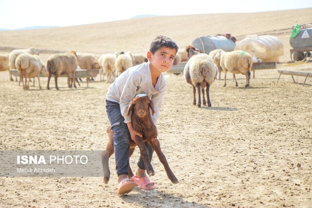 تسریع خدمت‌رسانی به عشایر در مناطق قشلاقی