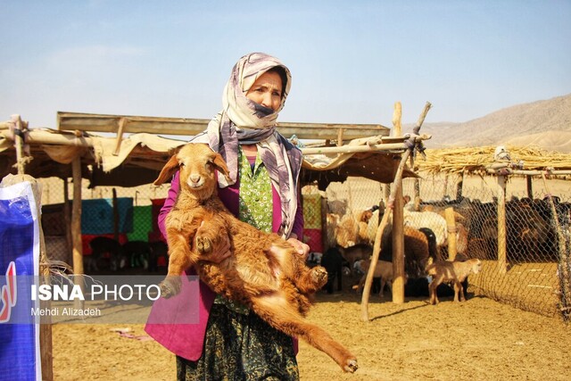 افتتاح ۶ پروژه عشایری در همدان