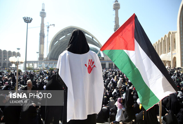 عکس تزئینی است افتتاح نمایشگاه و رونمایی از کتاب «غزه»