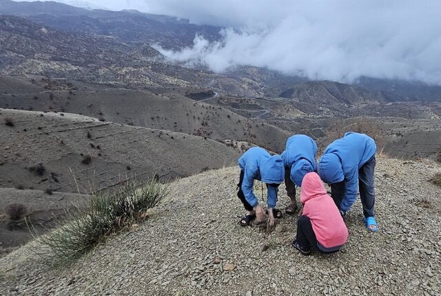 بخشی از نهالهای دالاهو فرزندان تو هستند