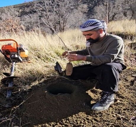 بخشی از نهالهای دالاهو فرزندان تو هستند