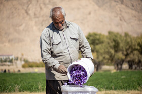 روستای استهبان - استان فارس