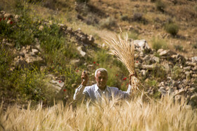  روستای قلعه اردشیر در فیروزآباد - استان فارس