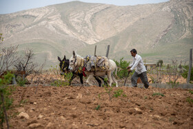 روستای استهبان - استان فارس