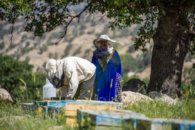  روستای قلعه اردشیر در فیروزآباد - استان فارس