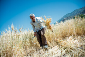  روستای قلعه اردشیر در فیروزآباد - استان فارس