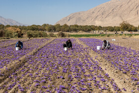 روستای استهبان - استان فارس