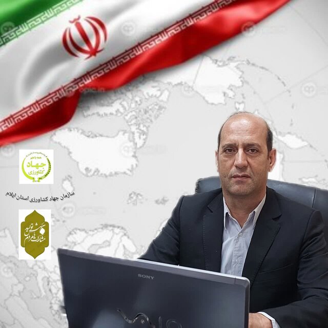 پیشبینی برداشت ۲۶ هزار تن کلزا در استان ایلام پیشبینی برداشت ۲۶ هزار تن کلزا در استان ایلام