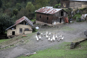 خانه های قدیمی سنتی در سوادکوه مازندران