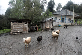 خانه های قدیمی سنتی در سوادکوه مازندران