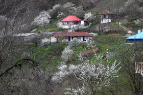 خانه های قدیمی سنتی در سوادکوه مازندران