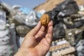 امحاء مواد مخدر در قم