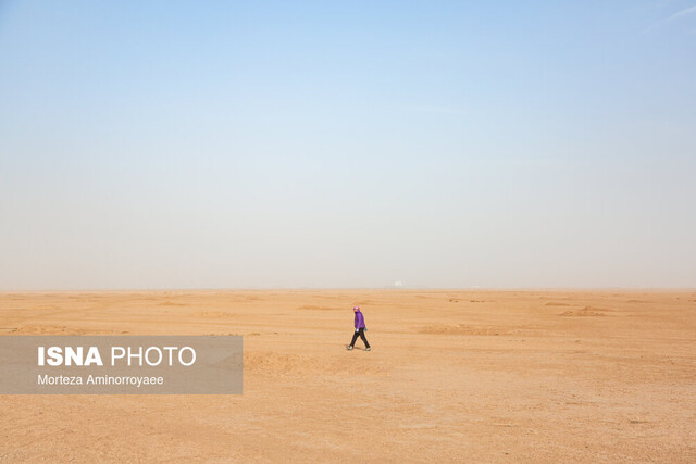 مراقب عروسهای بیابان باشید