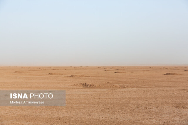 دستگاهها از محل مسئولیتهای اجتماعیشان پایکار بیابانزدایی بیایند