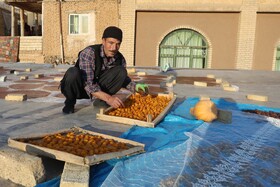 سومین جشنواره آلو حیدره‌ی قاضی خان