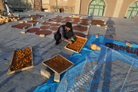 سومین جشنواره آلو حیدره‌ی قاضی خان